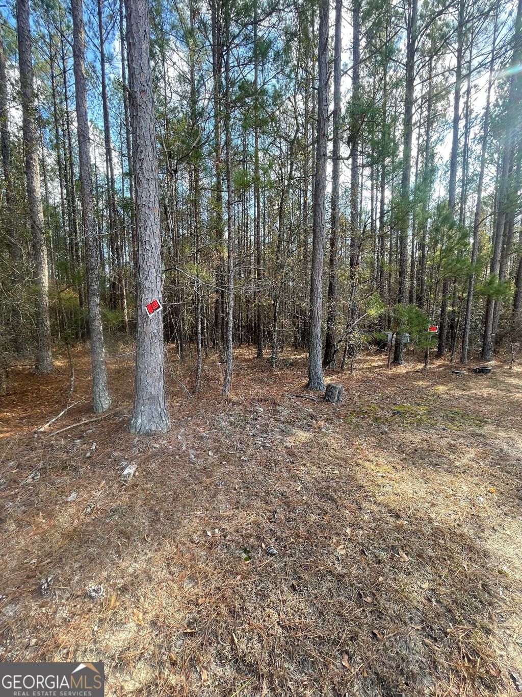 Photo of 0 Sandy Point Road, KNOXVILLE, GA 30105 (MLS # 10661986)