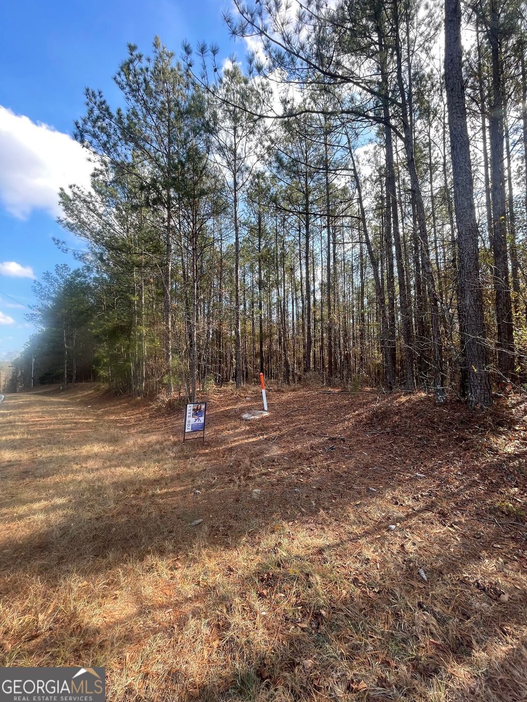Photo of 0 Sandy Point Road, KNOXVILLE, GA 30105 (MLS # 10661986)