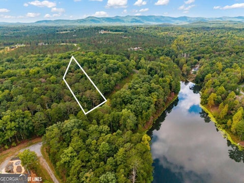 Photo of 195 Pinnacle Drive, Ellijay, GA 30540 (MLS # 10870706)
