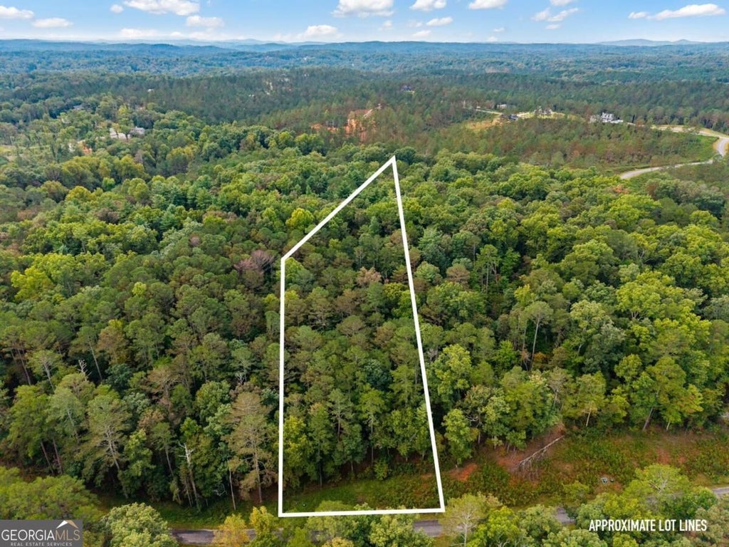 Photo of 195 Pinnacle Drive, Ellijay, GA 30540 (MLS # 10870706)