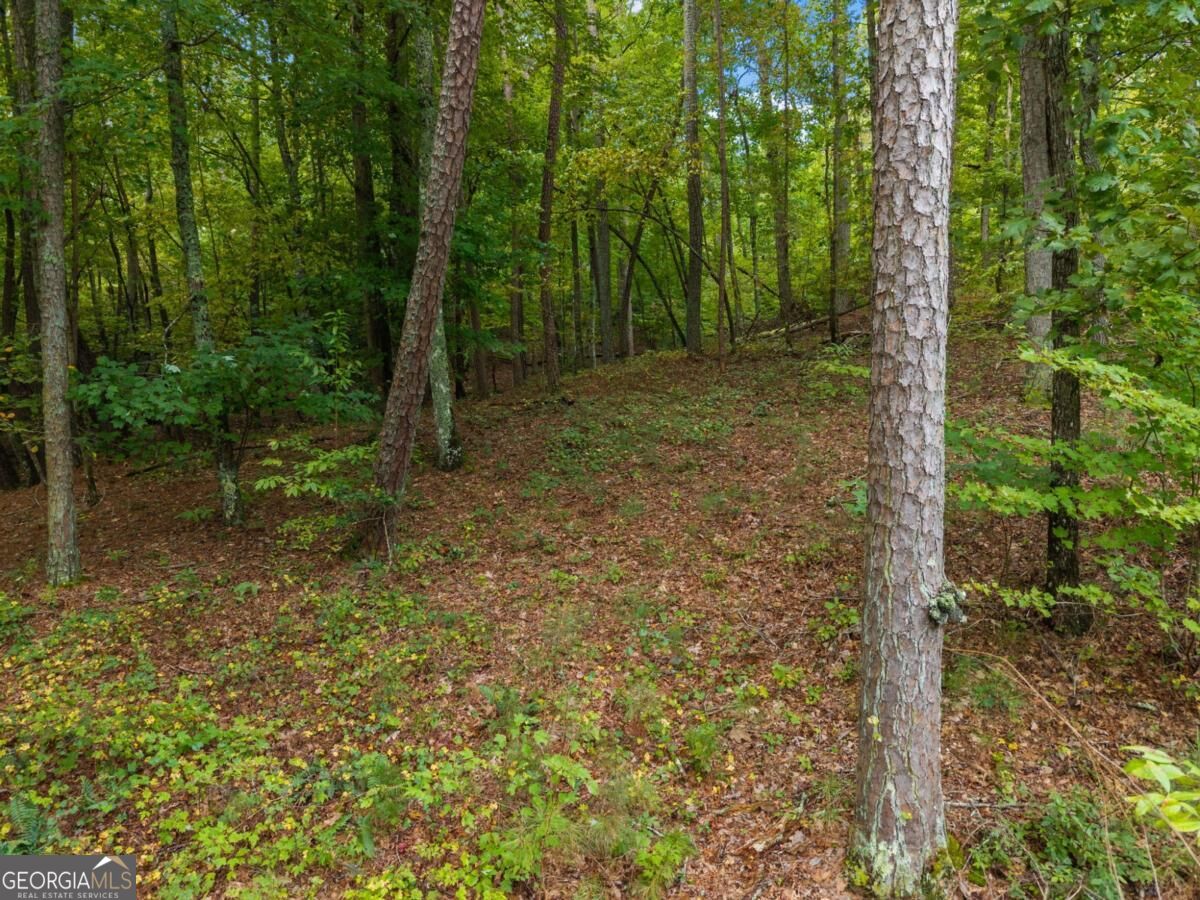 LOT 195R Pinnacle DR