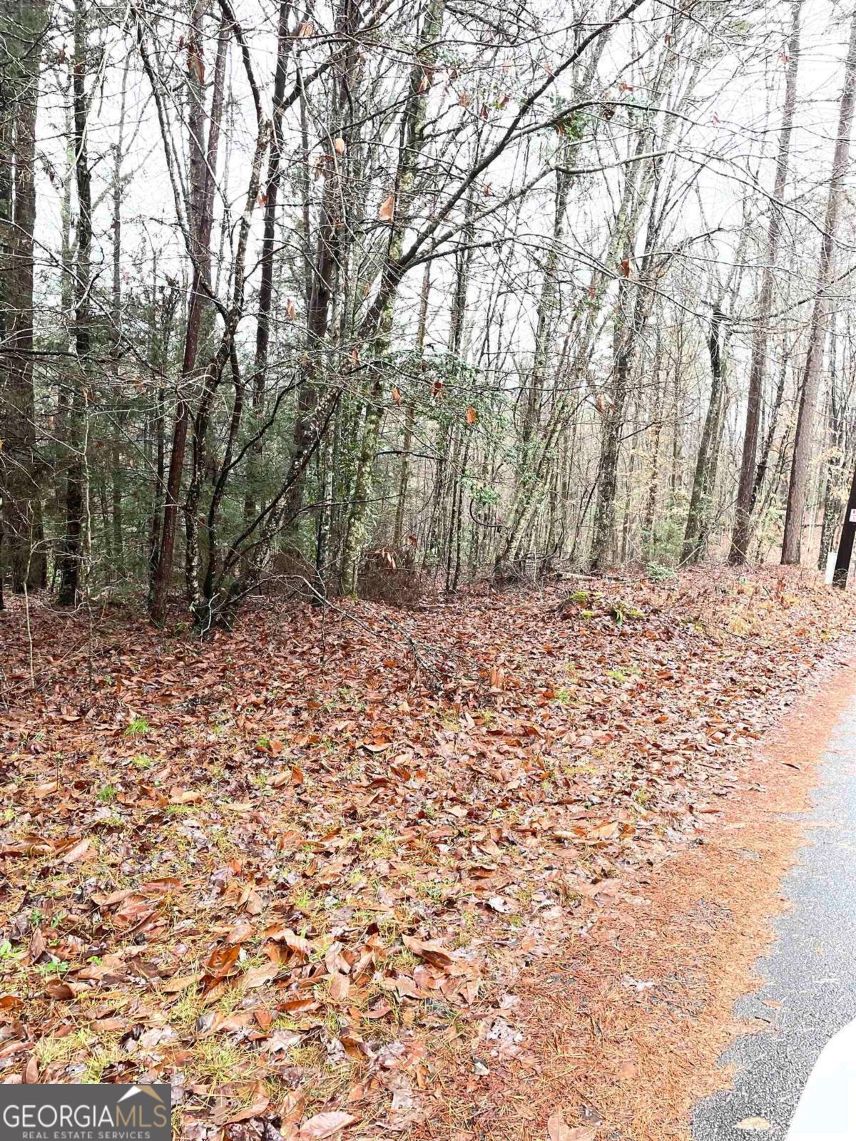 0 River Birch LN LOT 32