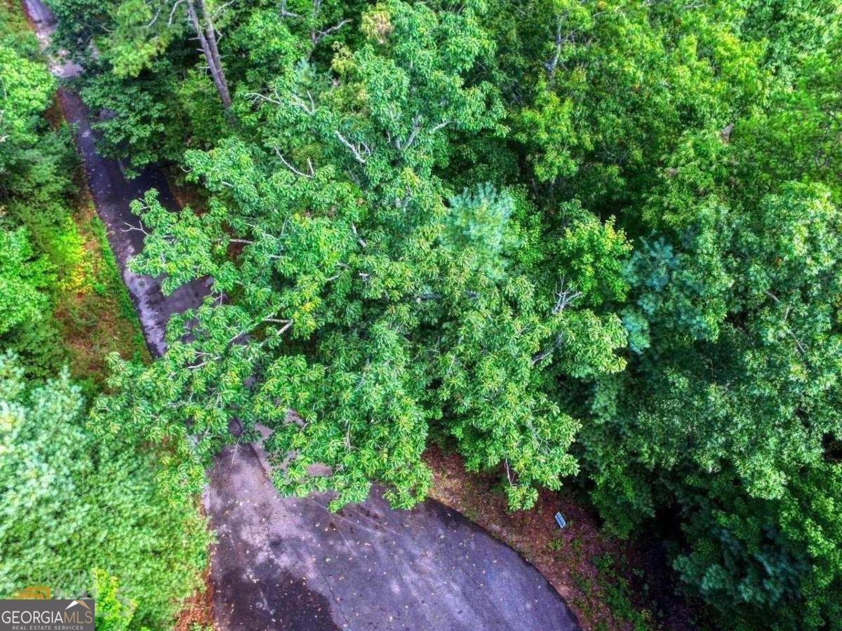 0 River Birch LN LOT 32