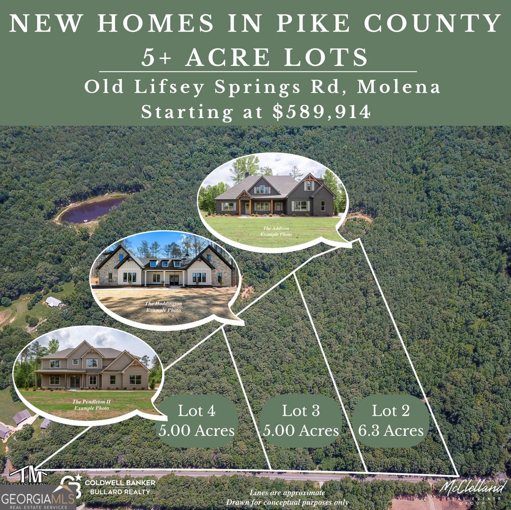 Photo of 3243 Old Lifsey Springs Road, Molena, GA 30258 (MLS # 10631679)