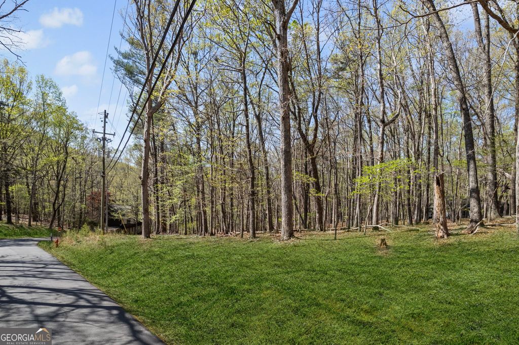 Photo of 17 Denny Ridge Road, Jasper, GA 30143 (MLS # 10709672)