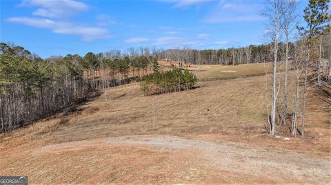 3511 Reavis Mountain RD Ball Ground GA 30107