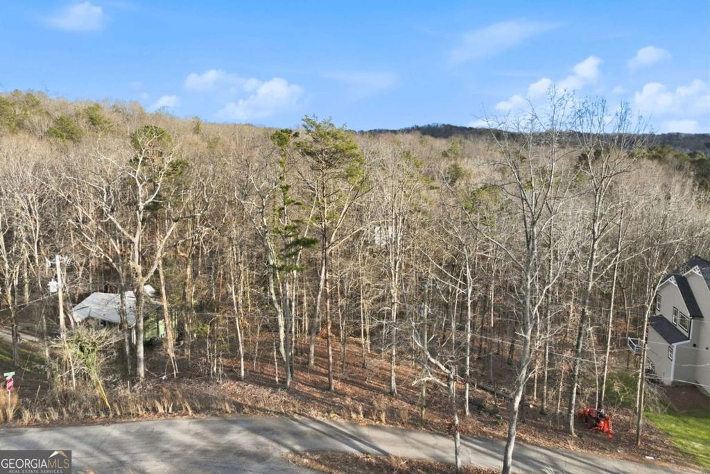 Photo of 7703 Elm Circle, Murrayville, GA 30564 (MLS # 10705971)