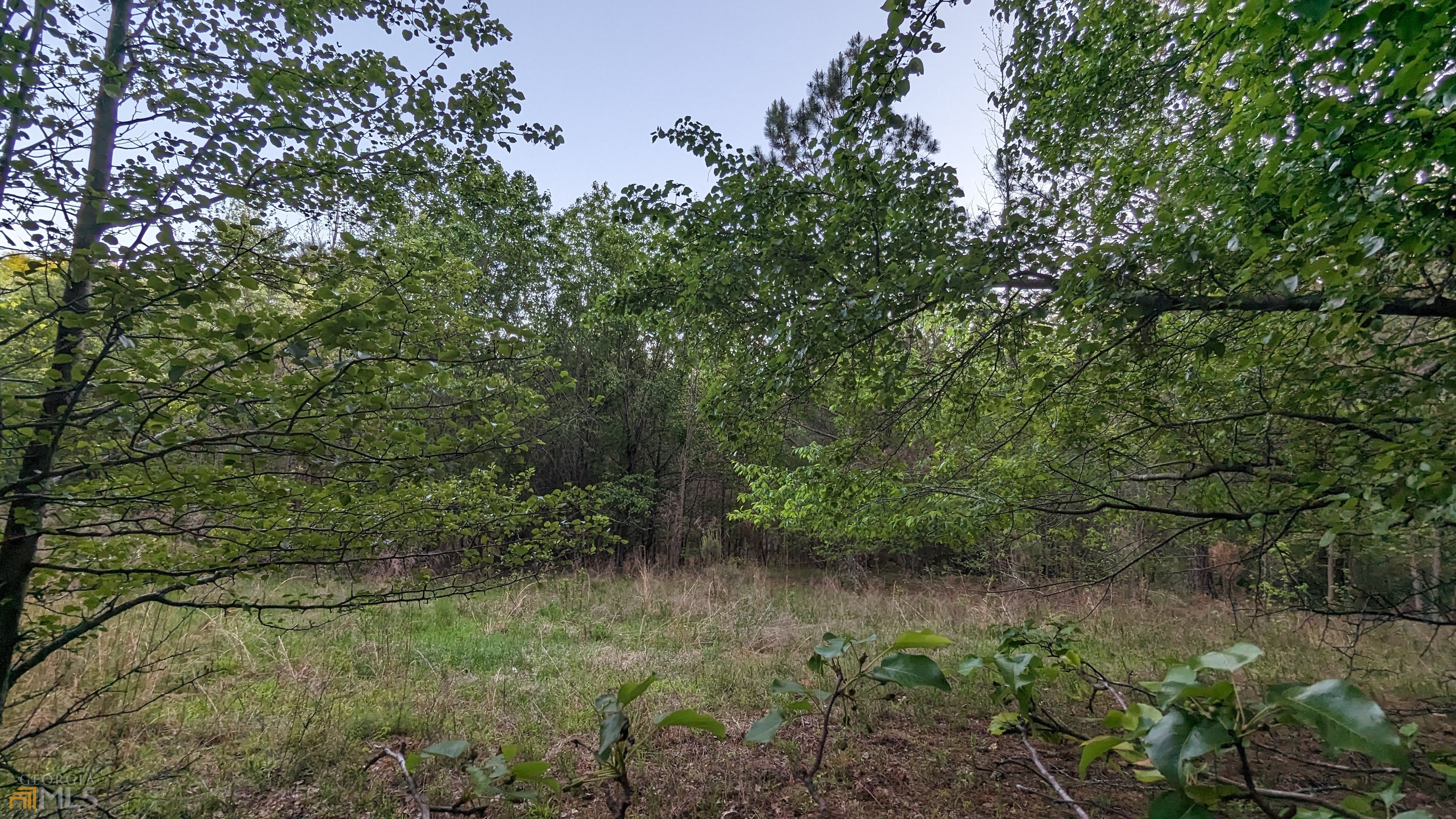 7490 Butner RD