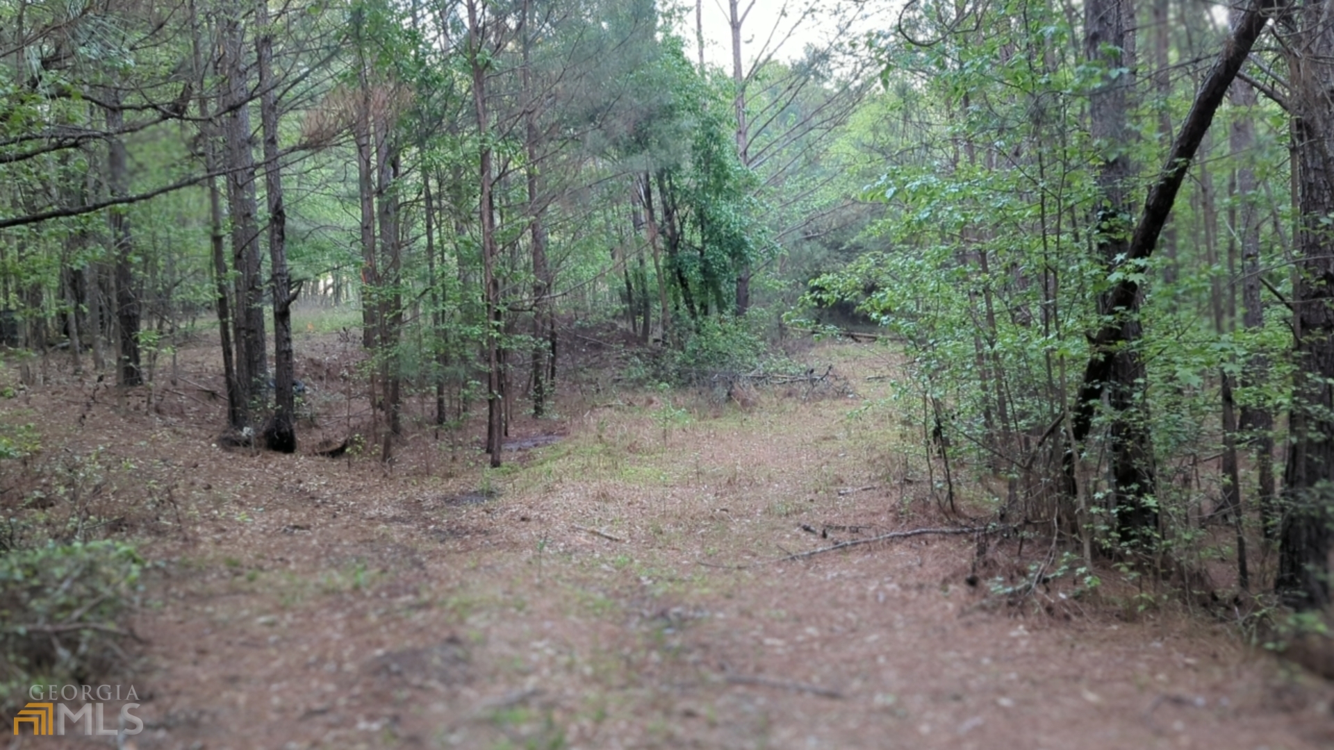 7490 Butner RD