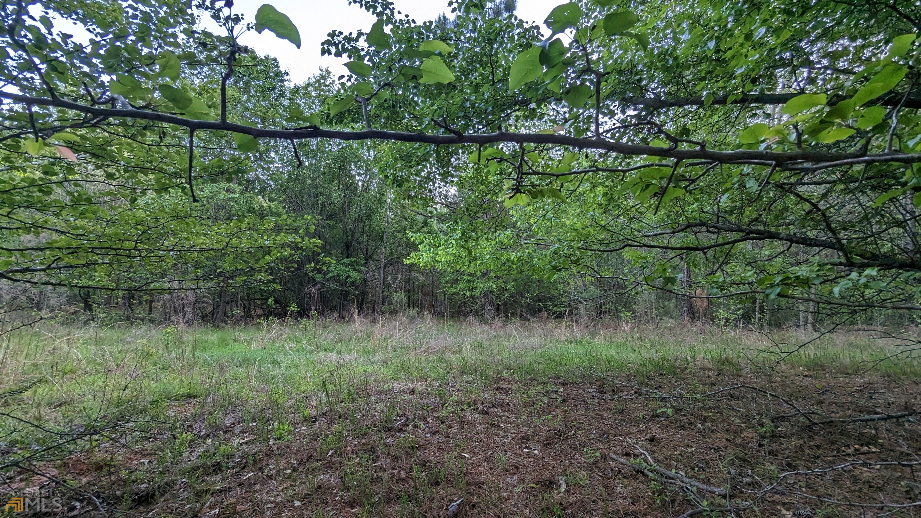 7490 Butner RD