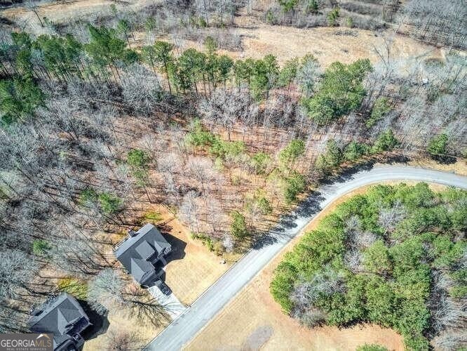 Photo of 263 Principal Meridian Drive, Dallas, GA 30132 (MLS # 10815700)