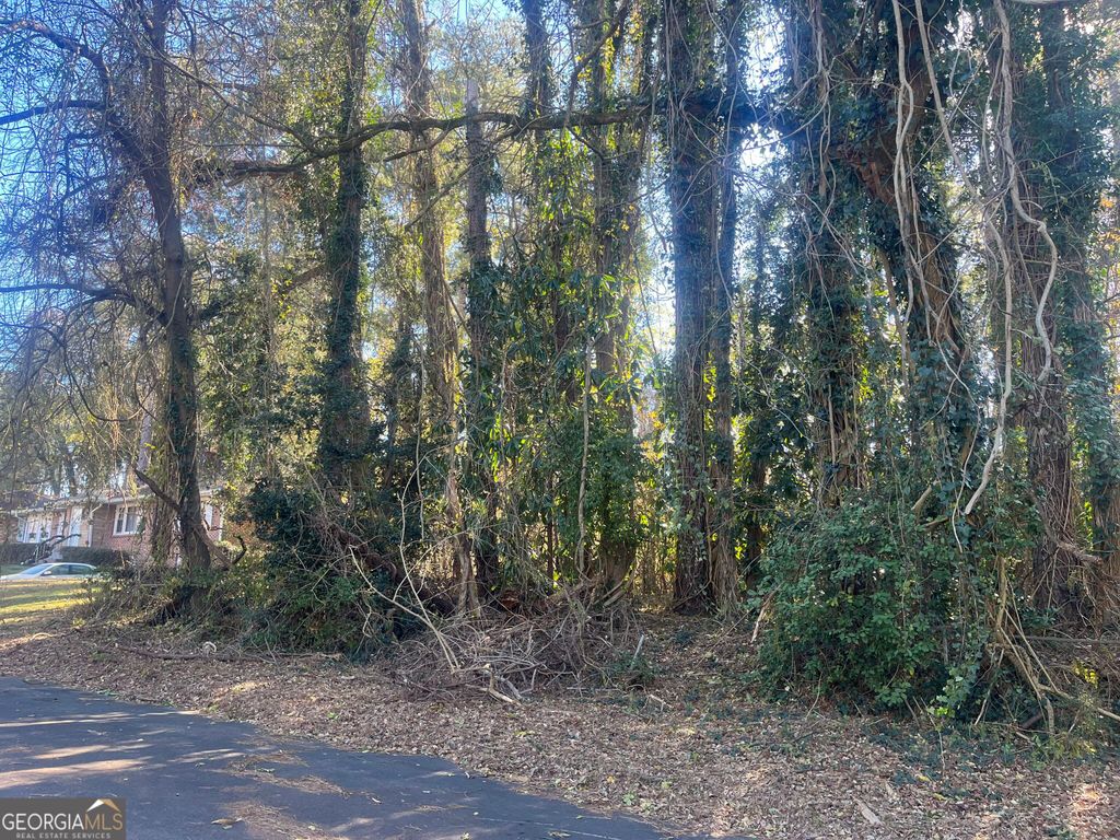 Photo of 0 Handley Avenue S, Atlanta, GA 30310 (MLS # 10660334)