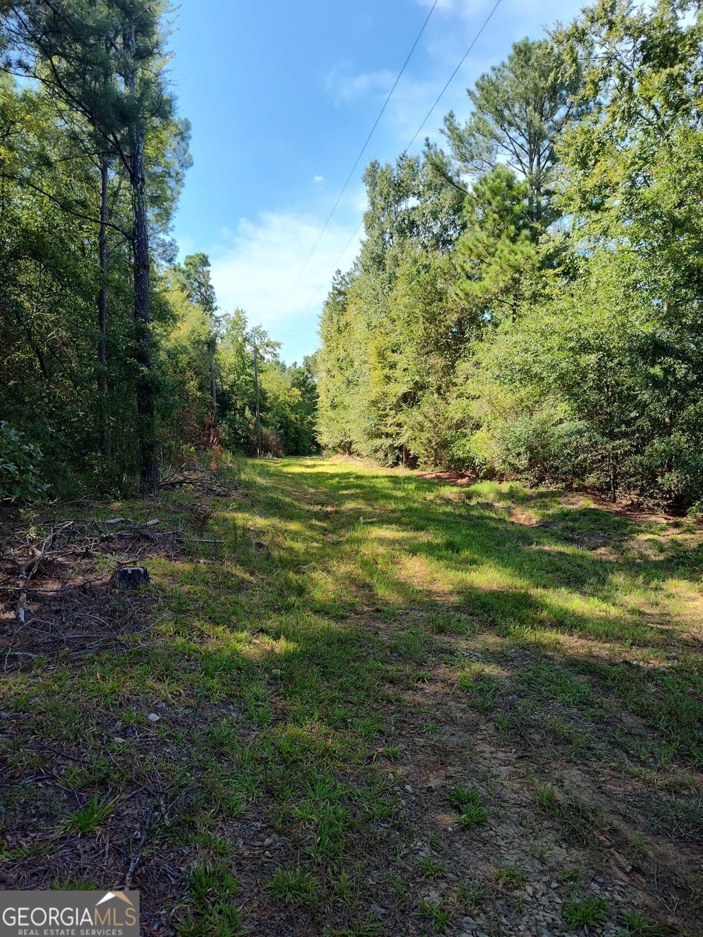 Photo of 00 Calhoun Falls Highway, Elberton, GA 30635 (MLS # 10851011)