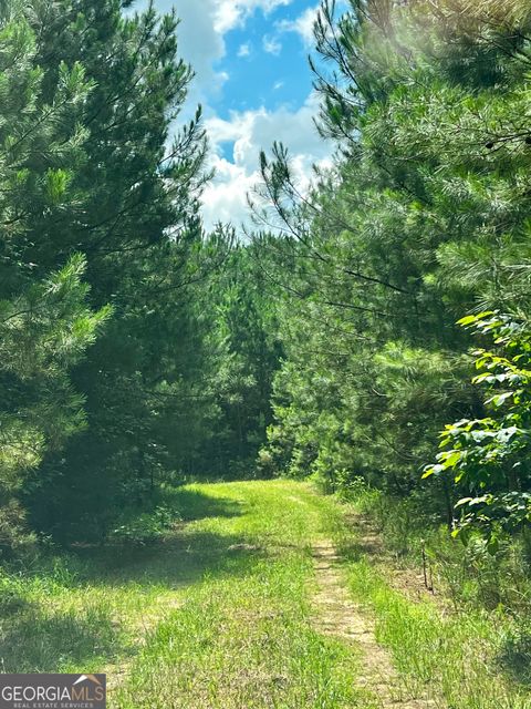 Photo of 2030 Old Chipley Road, Pine Mountain, GA 31822 (MLS # 10537298) Photo of 2030 Old Chipley Road, Pine Mountain, GA 31822 (MLS # 10537298)