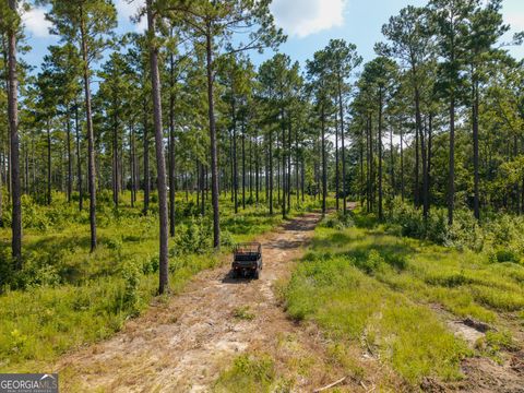 0 Henry Moxley RD Cobbtown GA 30420