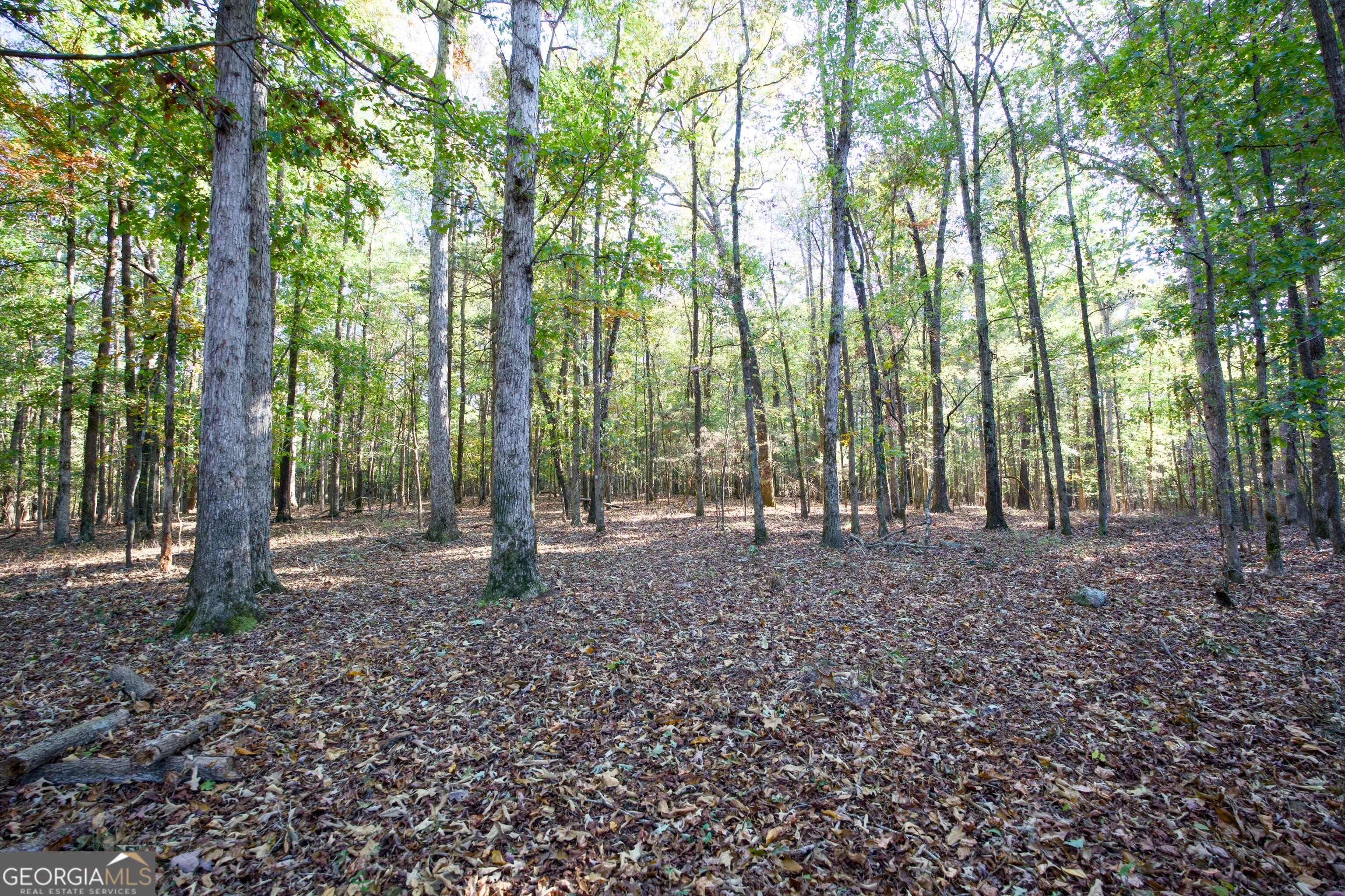 39 ACRES New Haven Church RD