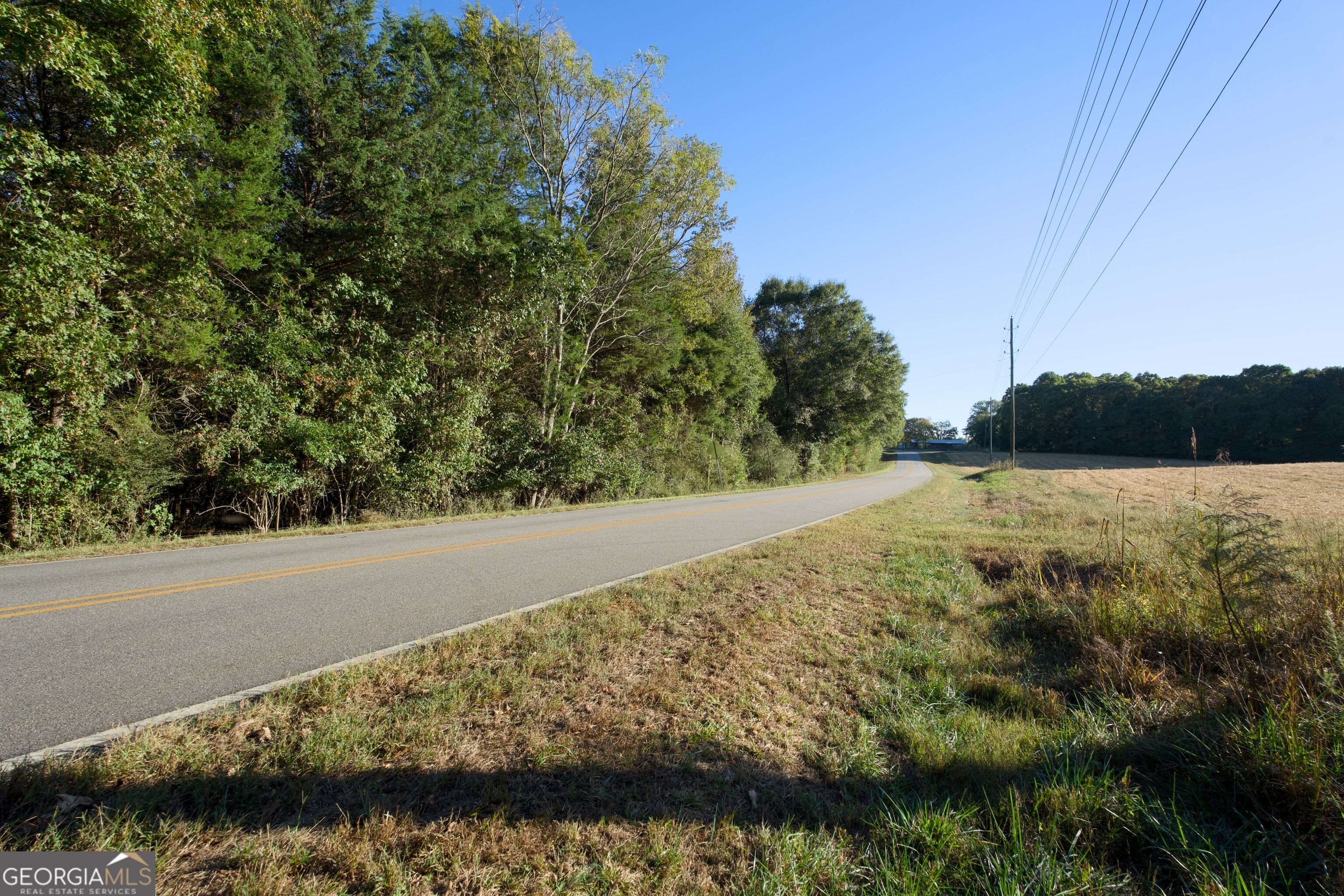 39 ACRES New Haven Church RD