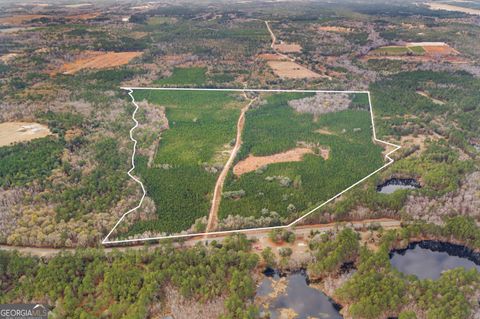 Photo of 0 Jacob Wilkinson Circle, Claxton, GA 30417 (MLS # 10662097)