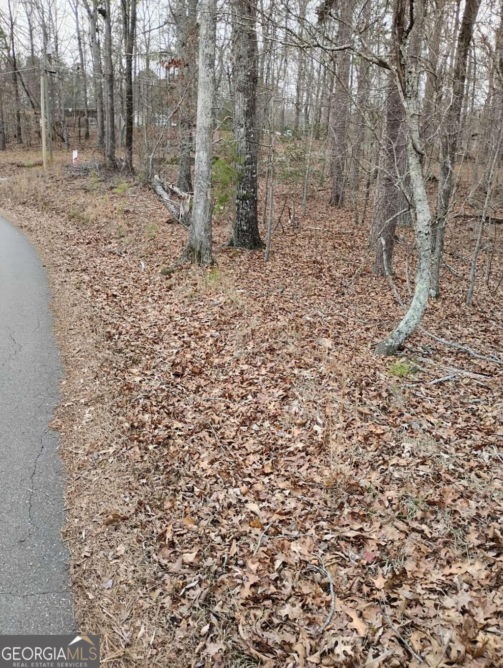 Photo of 0 Willie West Road, Canton, GA 30114 (MLS # 10682513)