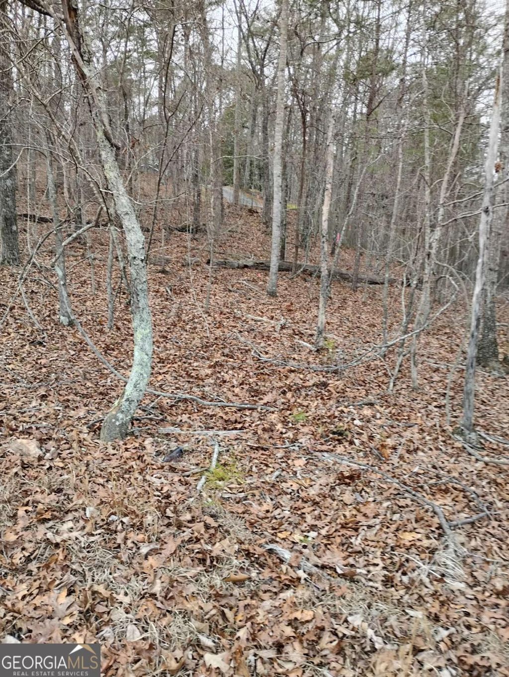 Photo of 0 Willie West Road, Canton, GA 30114 (MLS # 10682513)