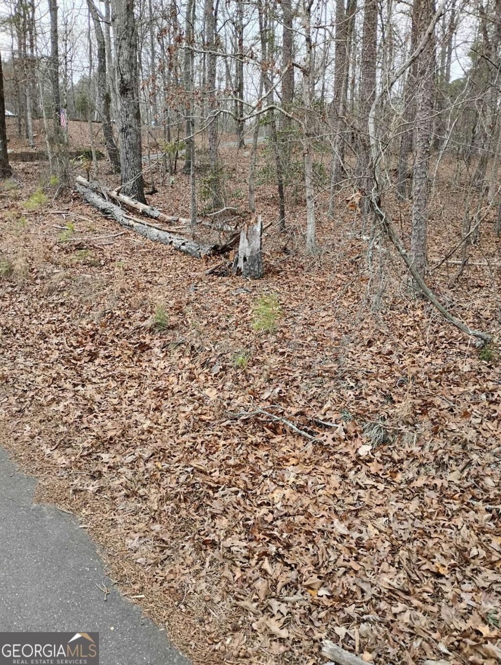 Photo of 0 Willie West Road, Canton, GA 30114 (MLS # 10682513)