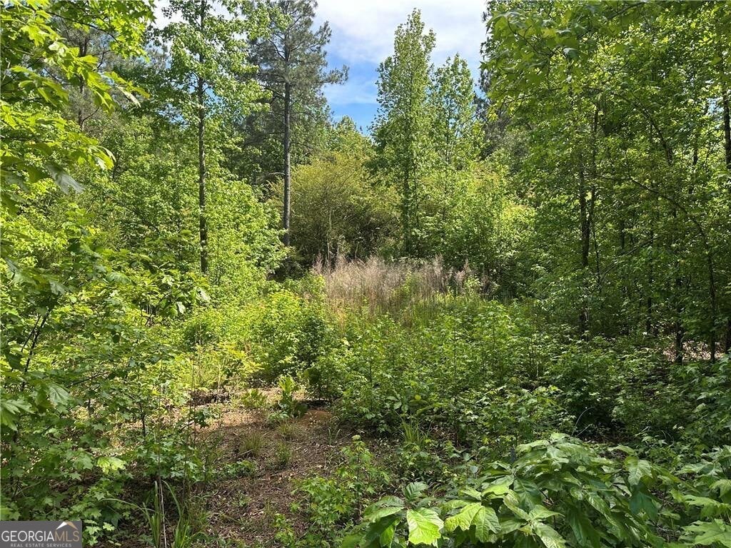 127 Sam Sutton RD NW