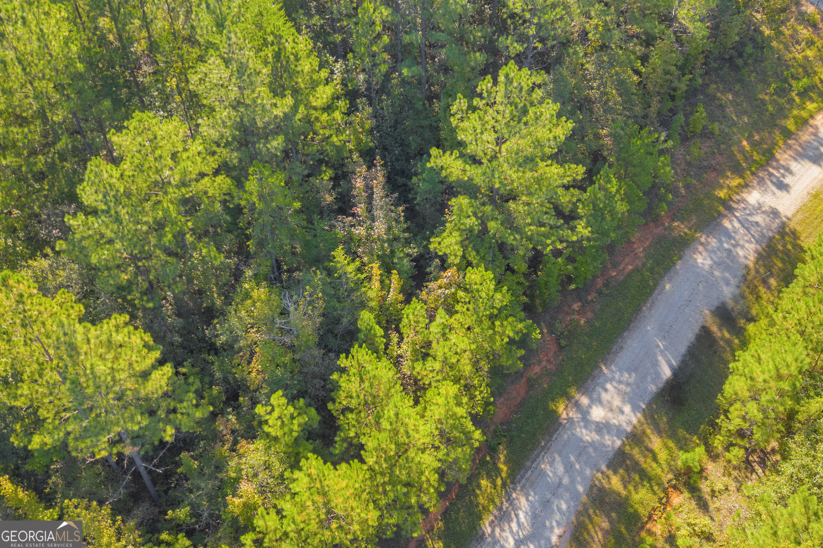 0 Long Pine LN LOT 13