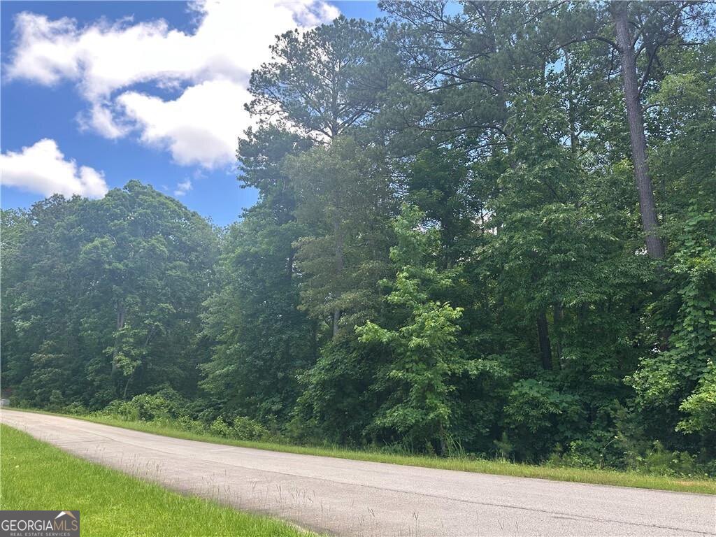 Elsberry Ridge Neighborhood. Undeveloped lot, secluded and wooded land Nestled atop the scenic and historic Elsberry Mountain, Lot 13 offers a rare opportunity to build your dream home! This lot has underground utlities, street lights, recorded final plat, topo maps, and HOA covenants to protect your investment.