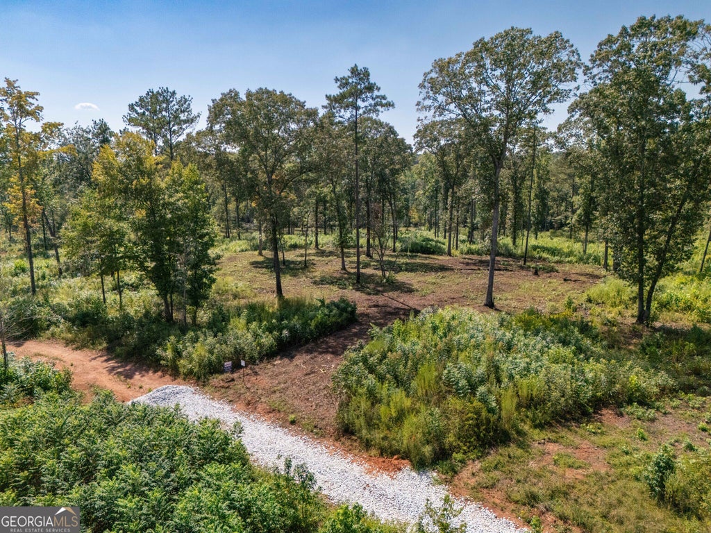 Photo of 0 Hwy 100 #11 TUCKER WAY, Franklin, GA 30217 (MLS # 10834827)