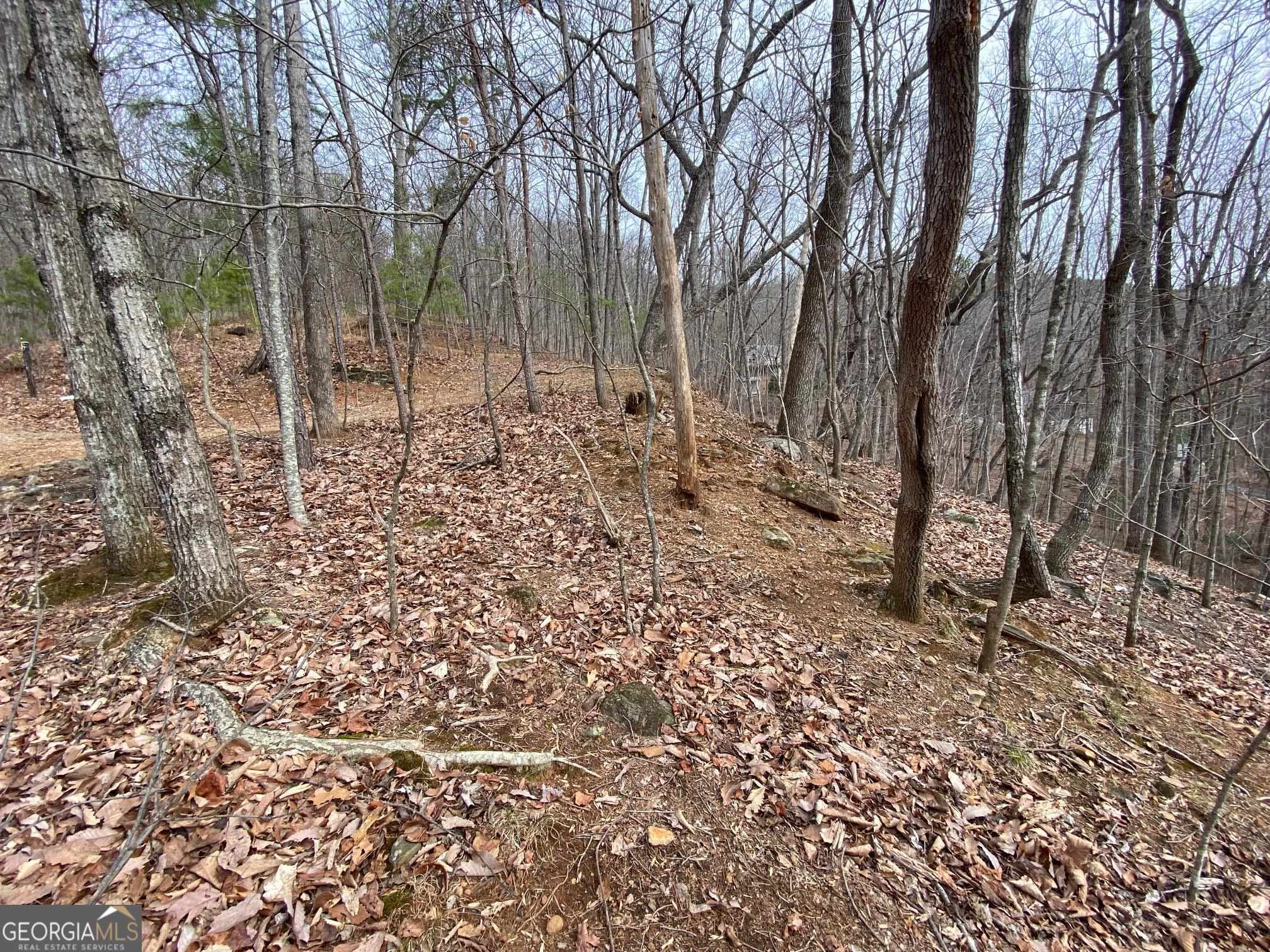 0 Lookout Ridge RD 11