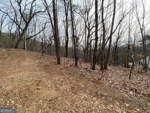 0 Lookout Ridge RD 11 Cleveland GA 30528