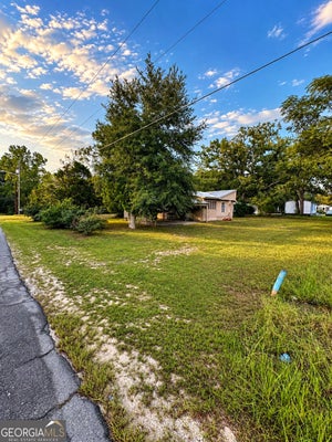 118 MOSLEY ST, REIDSVILLE, GA 30453 - Image 92f8d691c5905f2cc7d582b7e254cd6a/1988215414