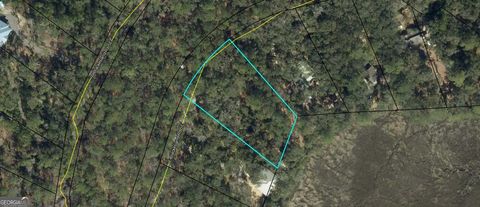 LOT 28 E Black Island RD Darien GA 31305