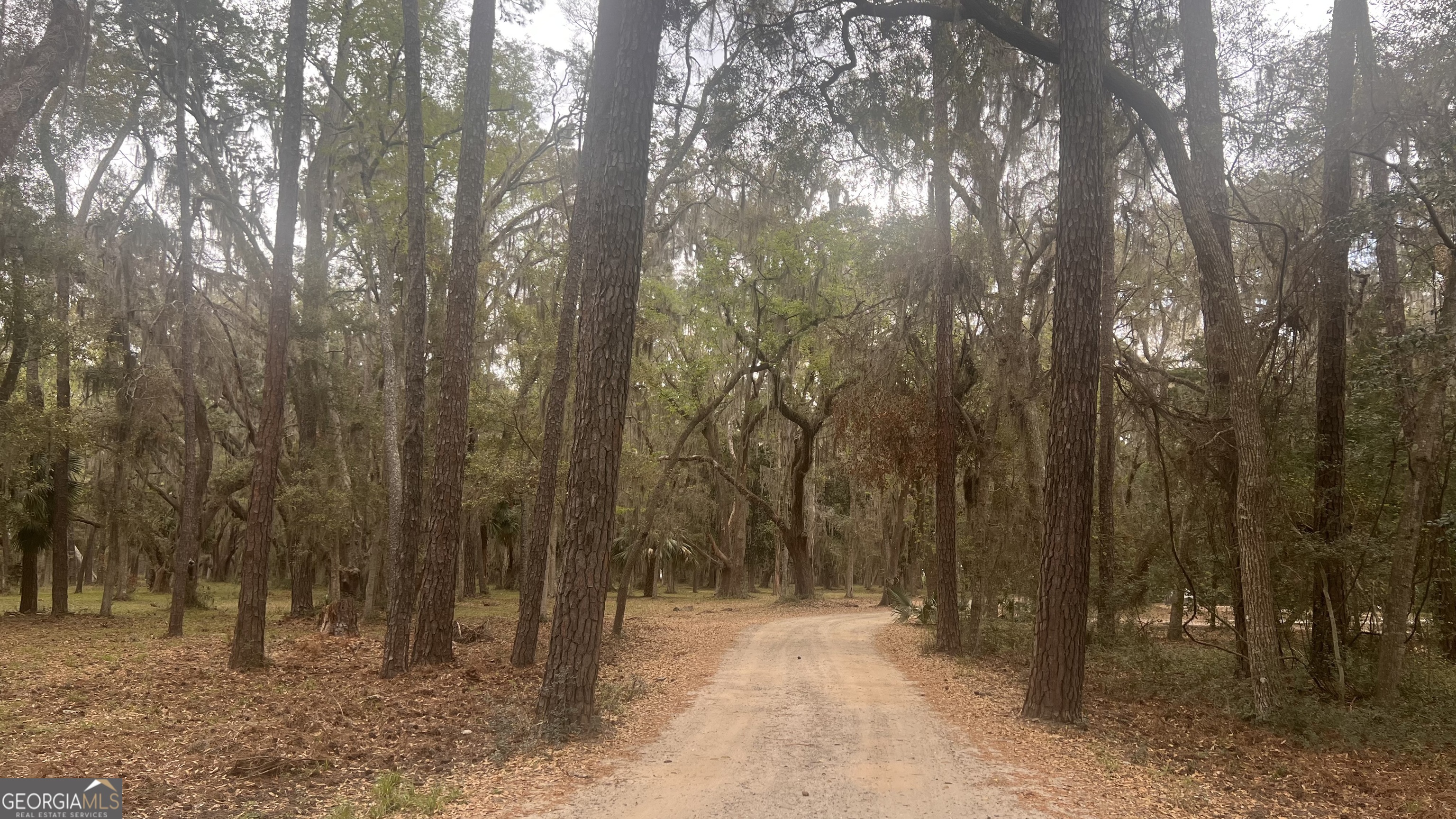 LOT 28 E Black Island RD