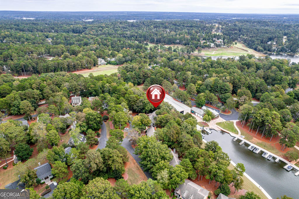 Photo of 1001 Marina Cove Lane, Greensboro, GA 30642 (MLS # 10776831)