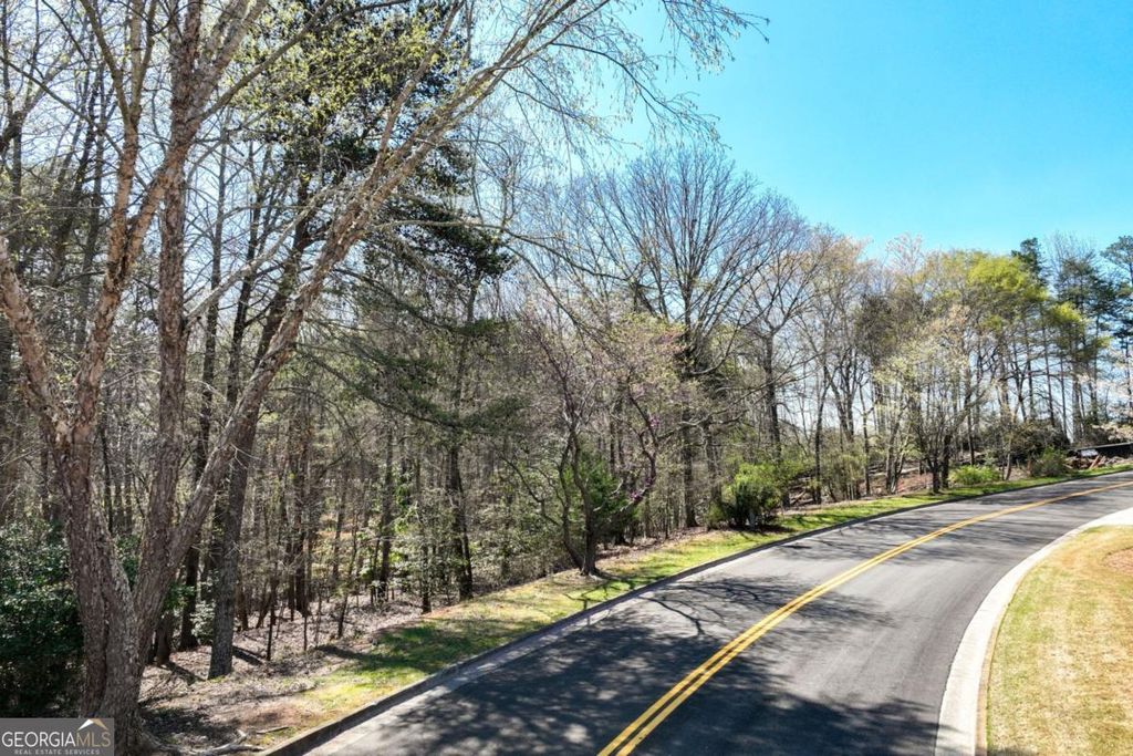 Photo of 308 Point Olympus Drive, Gainesville, GA 30506 (MLS # 10721003)