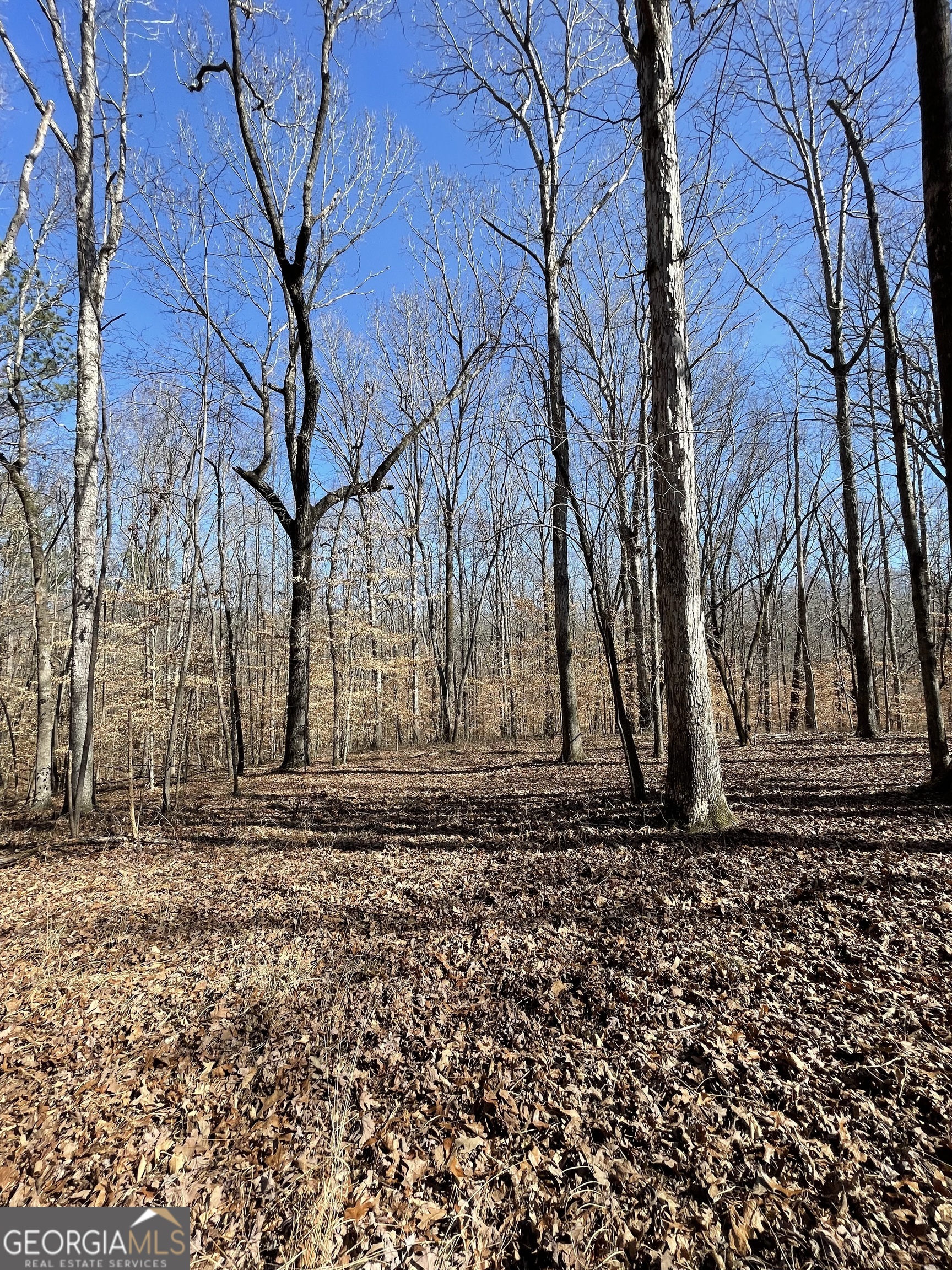 Looking for a beautiful spot to build your home? Look no more... this beautiful 4 acres (tract 3) would make the perfect place, boasting large mature hardwood trees. Listing agent/Seller relationship