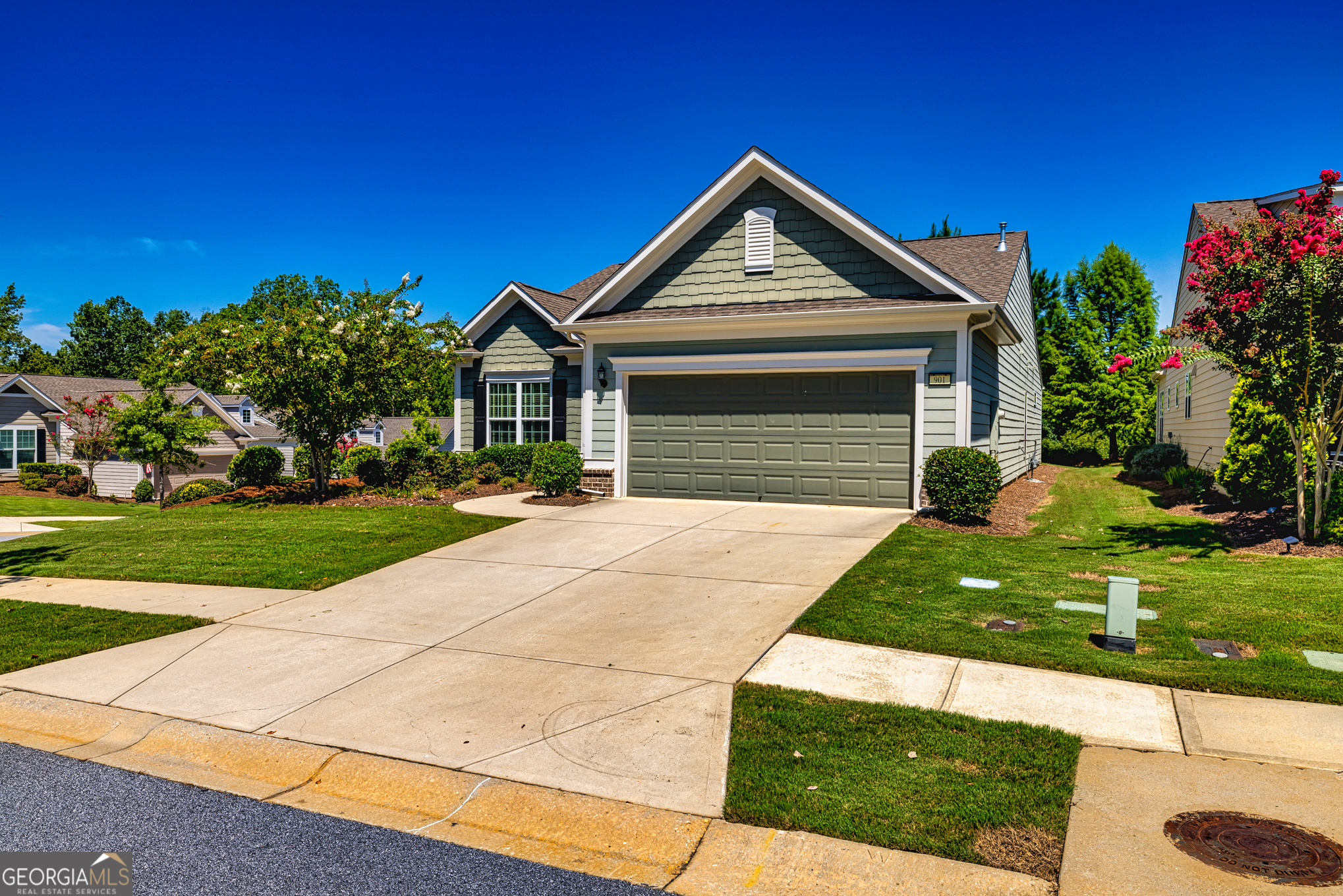 901 Coffee Berry CT
