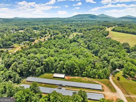 Agriculture in Cleveland GA 869 Mossy Creek Church Road 17.jpg