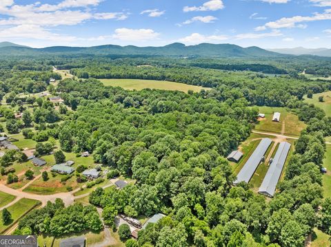 Agriculture in Cleveland GA 869 Mossy Creek Church Road 14.jpg