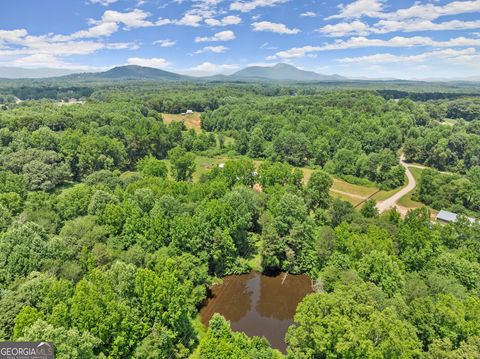 Agriculture in Cleveland GA 869 Mossy Creek Church Road 6.jpg