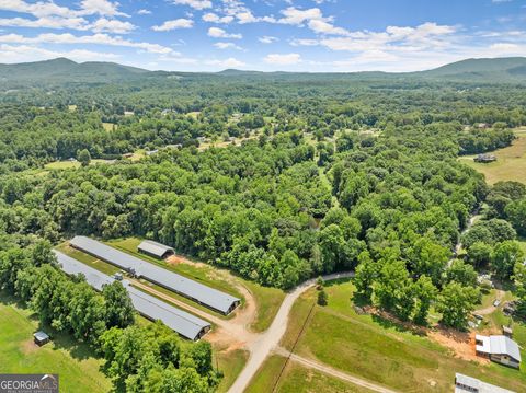 Agriculture in Cleveland GA 869 Mossy Creek Church Road 16.jpg