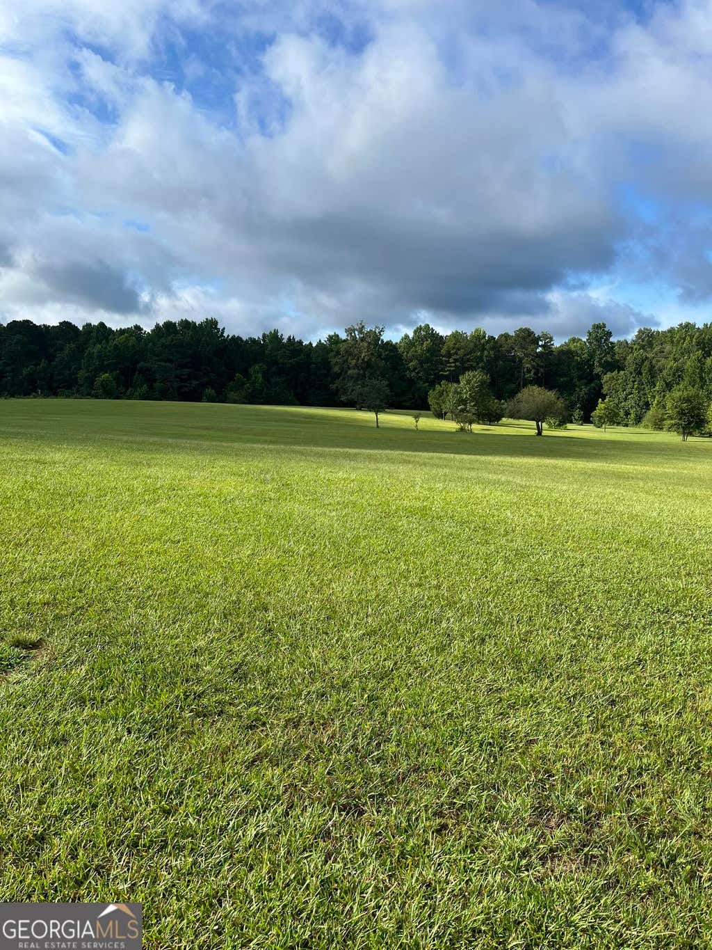 Photo of 9624 Rocky Mount Road, Luthersville, GA 30251 (MLS # 10813459)