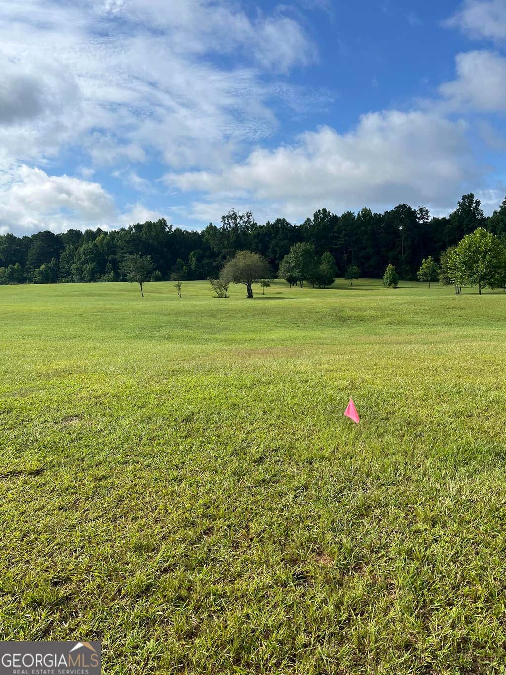 Photo of 9624 Rocky Mount Road, Luthersville, GA 30251 (MLS # 10813459)