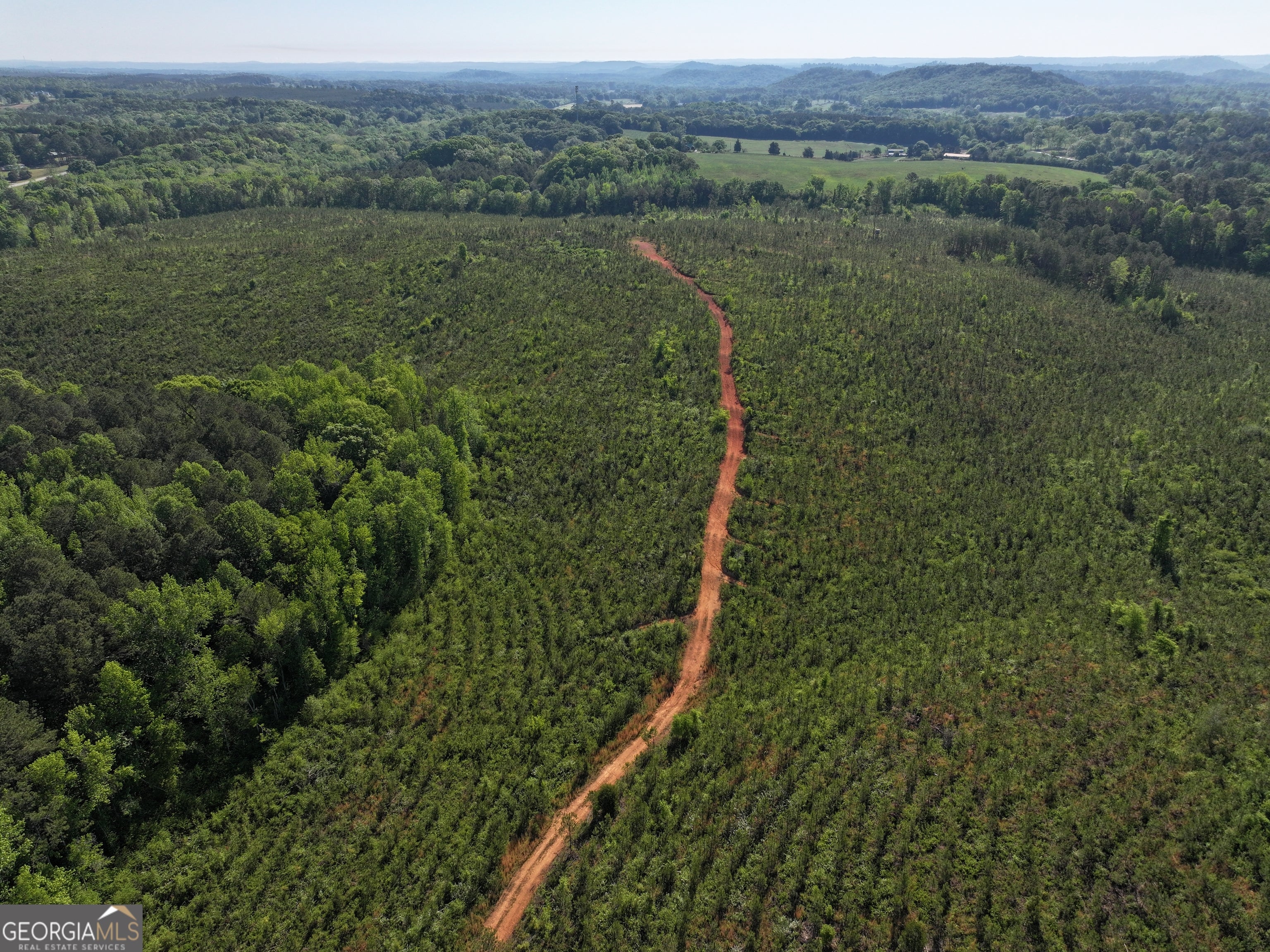 118 +/- Acres on Lumpkin RD