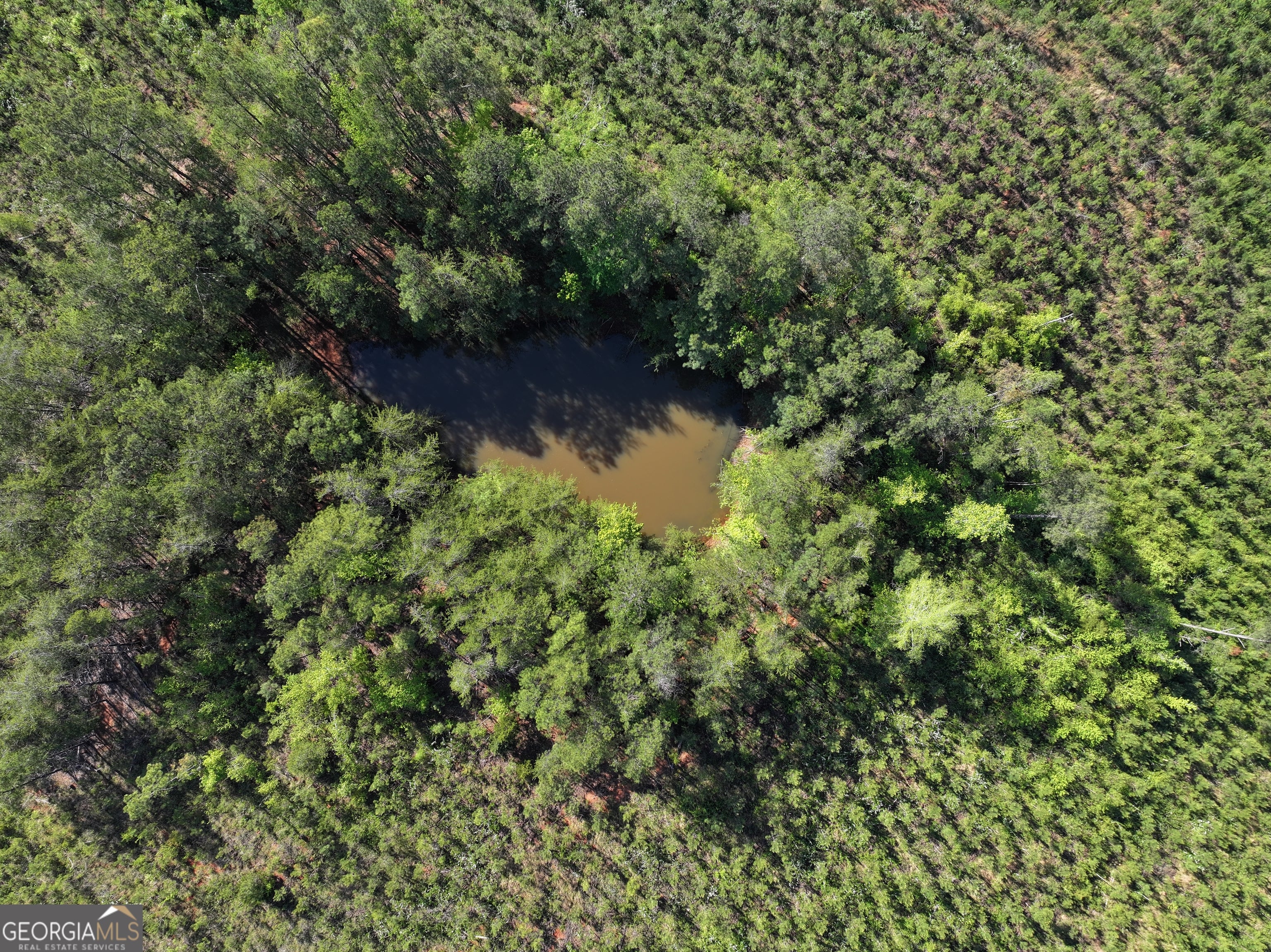 118 +/- Acres on Lumpkin RD