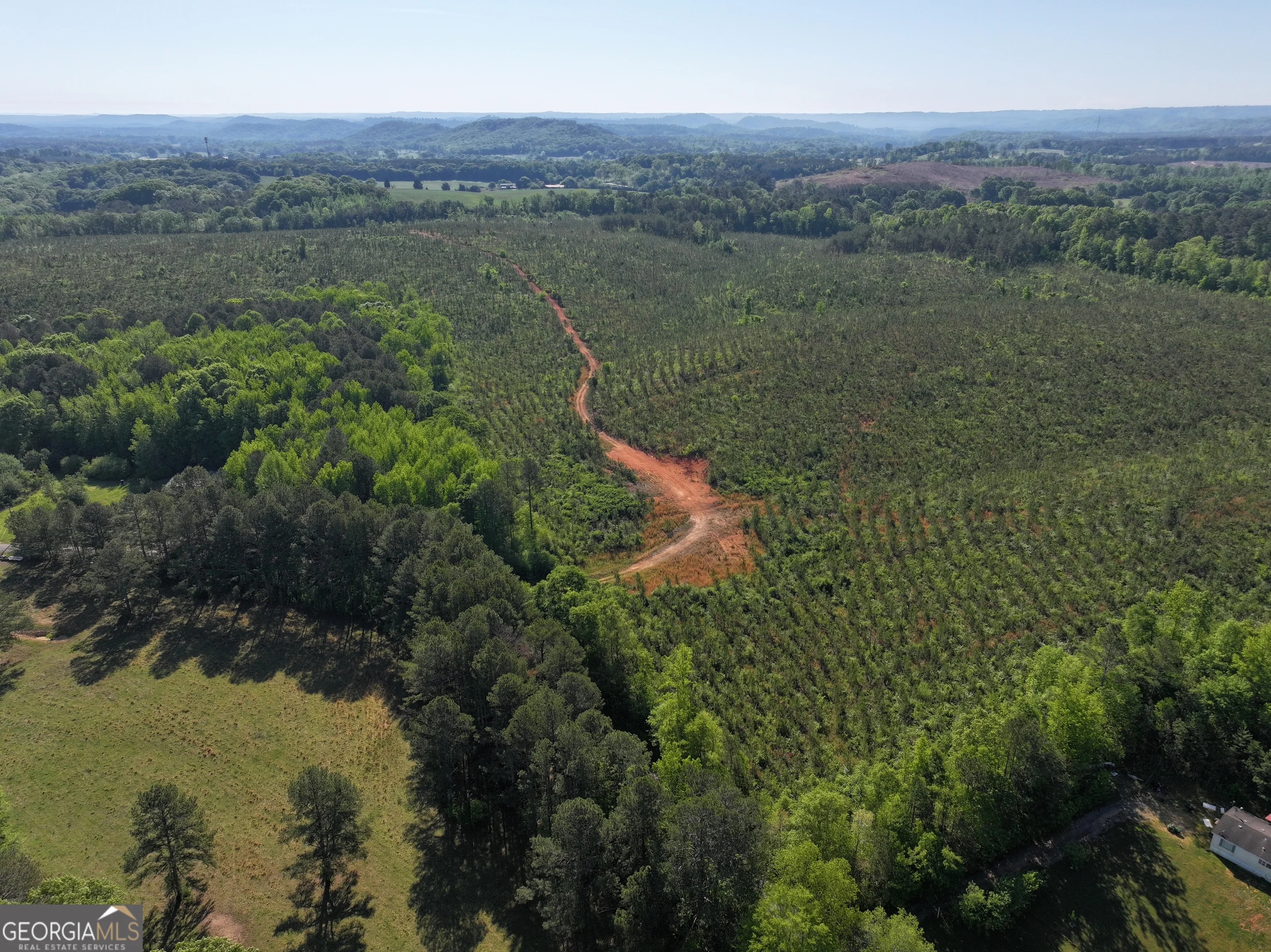 118 +/- Acres On Lumpkin Road
