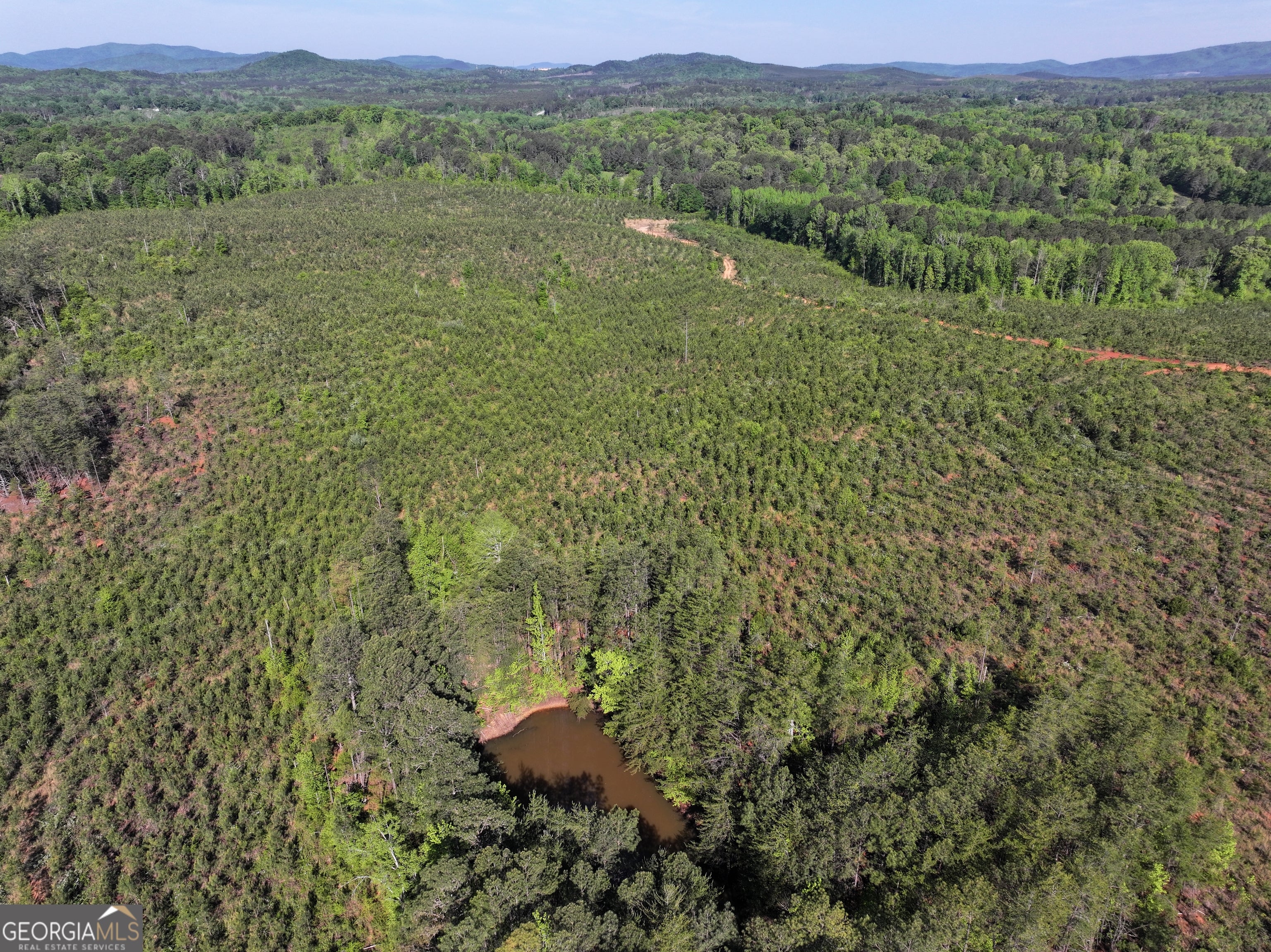 118 +/- Acres on Lumpkin RD