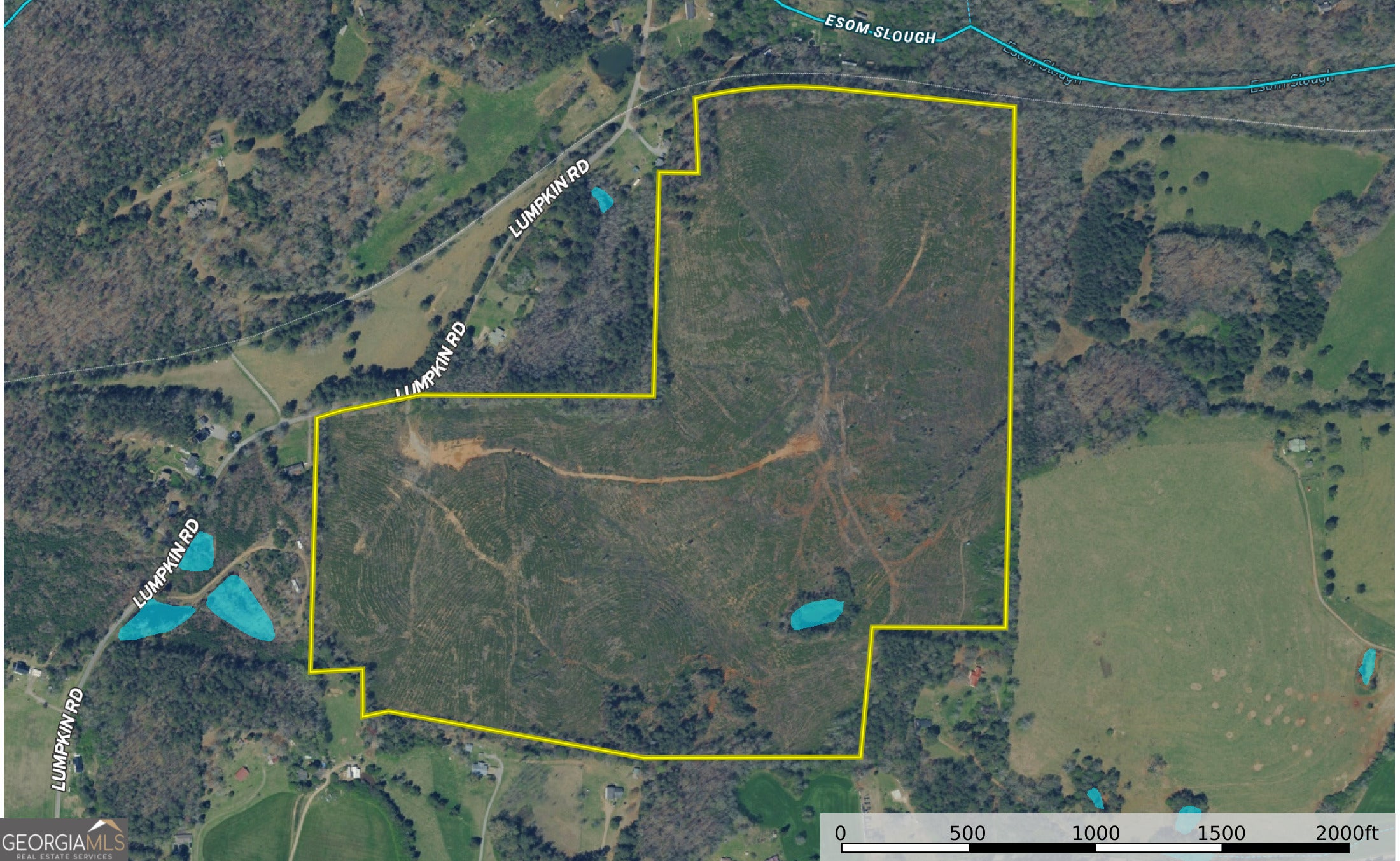 118 +/- Acres on Lumpkin RD