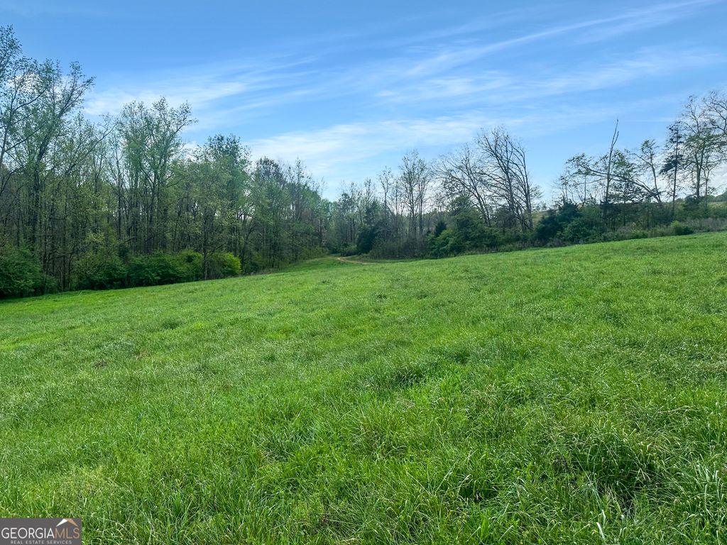 Photo of 965 Gooseneck Road, Eastanollee, GA 30538 (MLS # 10729581)